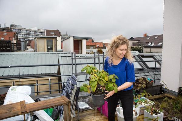 internationaal verhuizen
