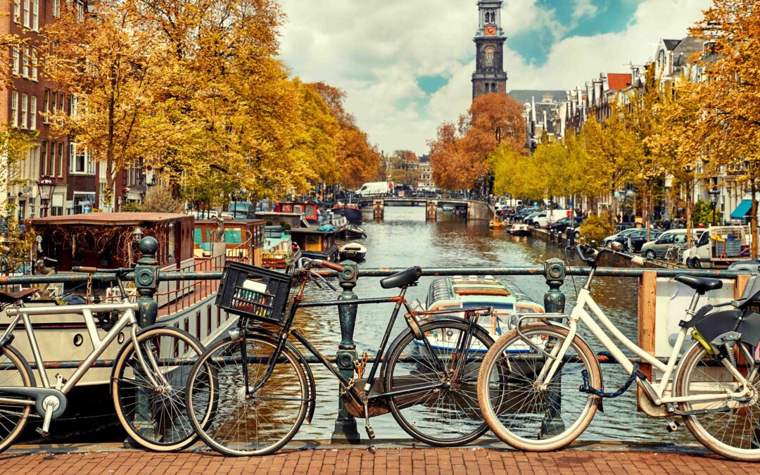 Je weg vinden door Nederland: Jouw uitgebreide gids voor openbaar vervoer en autorijden